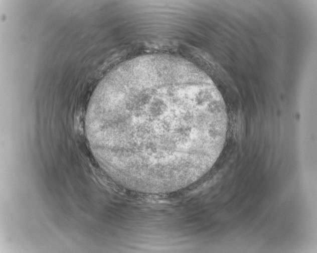 X0000085240770200704092022