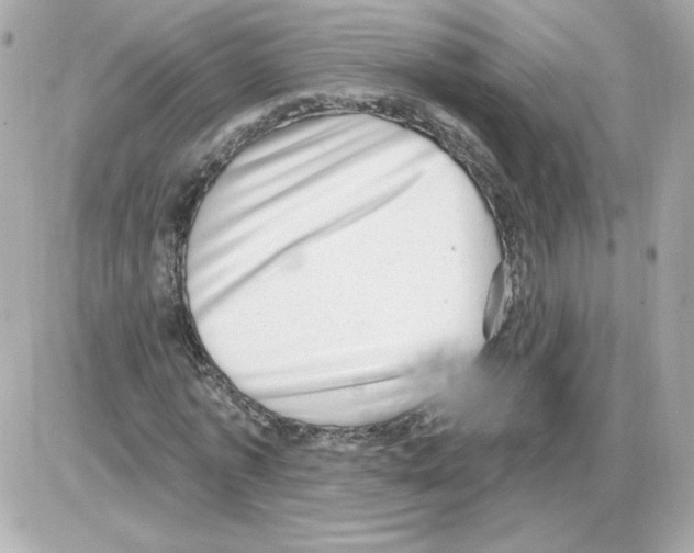 X0000085240773200704092022