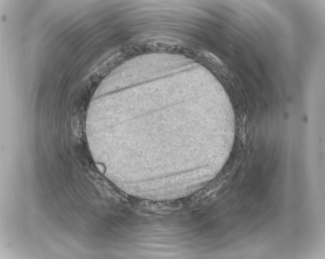 X0000085240774200704092022