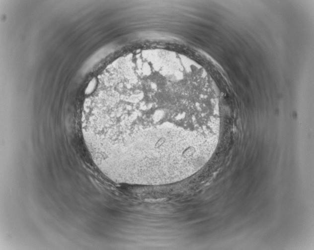 X0000085240775200704092022