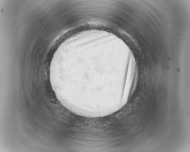X0000085240776200704092022