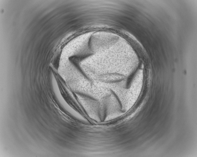 X0000085240777200704092022