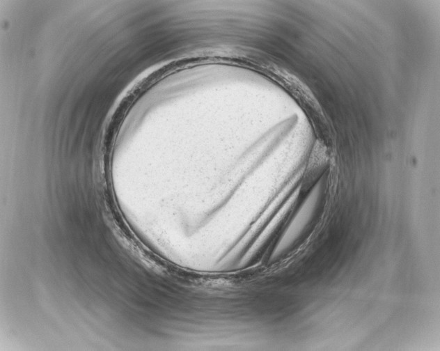 X0000085240784200704092022