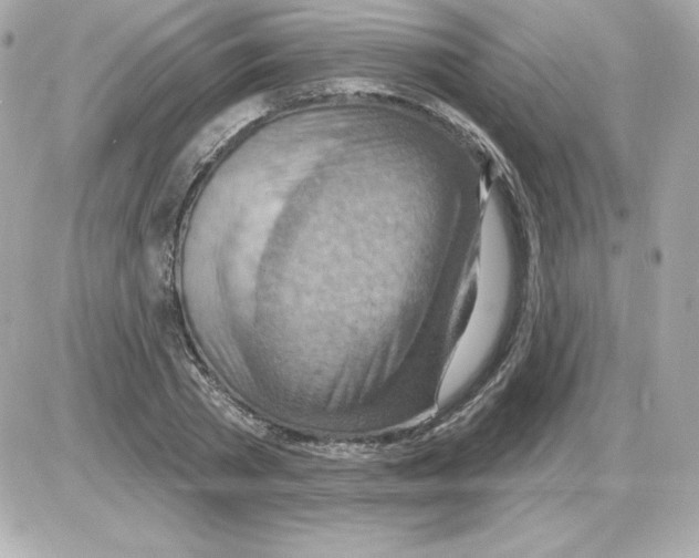 X0000085240785200704092022