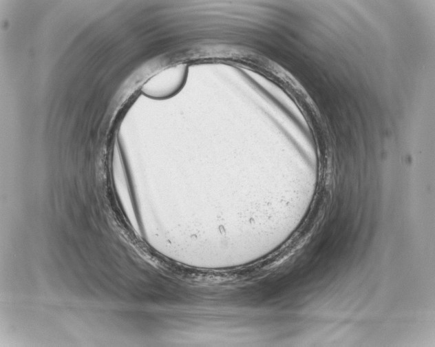 X0000085240786200704092022