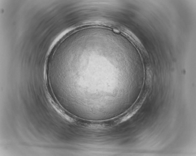 X0000085240788200704092022
