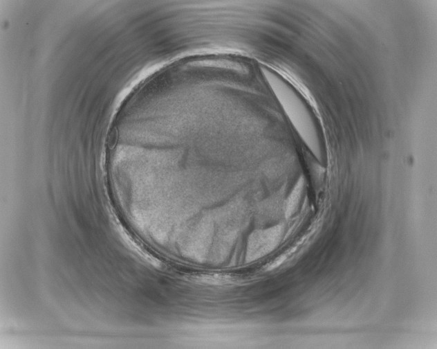 X0000085240797200704092022