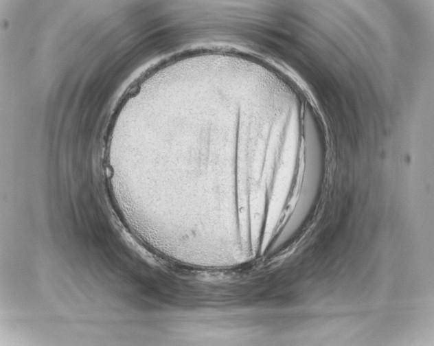 X0000085240799200704092022