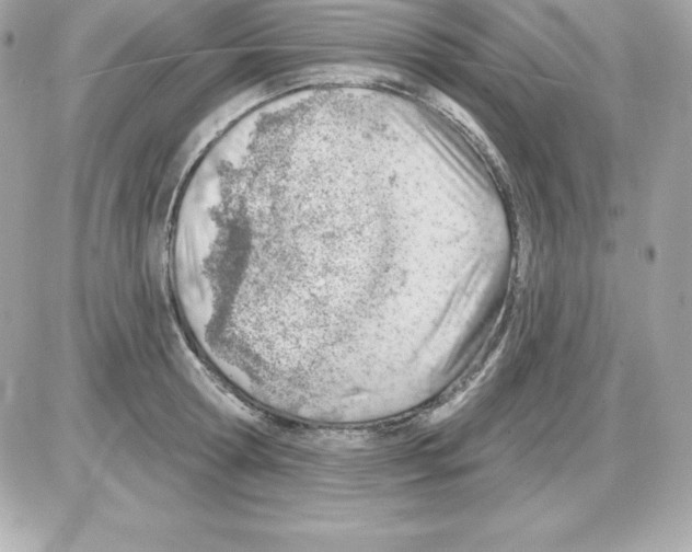 X0000085240802200704092022