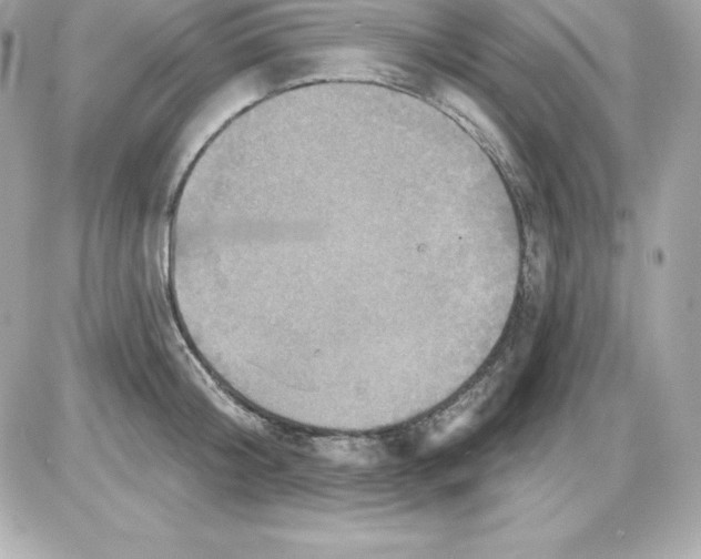 X0000085240804200704092022