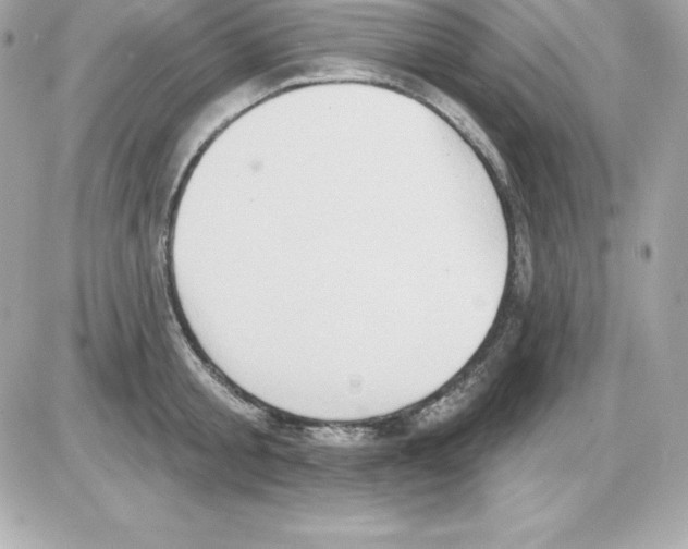 X0000085240805200704092022
