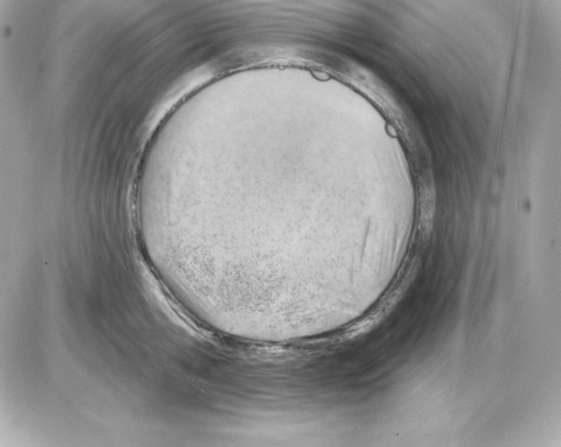 X0000085240806200704092022