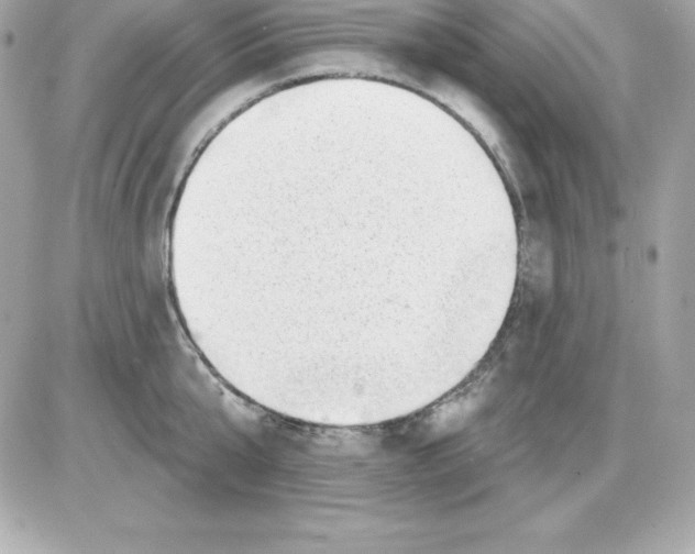 X0000085240807200704092022