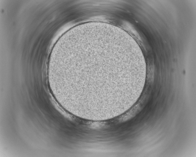 X0000085240808200704092022