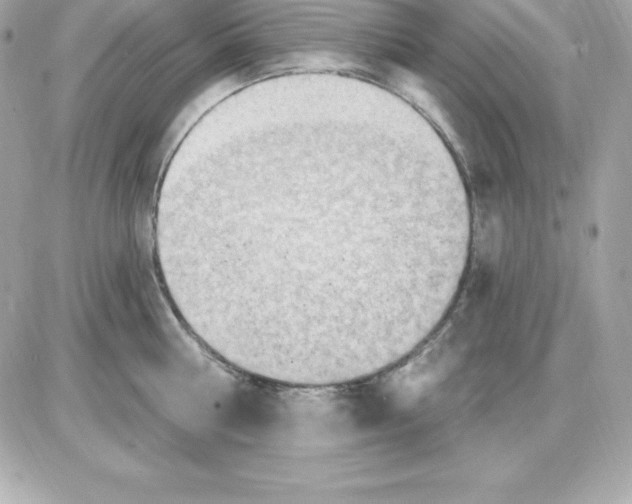 X0000085240810200704092022