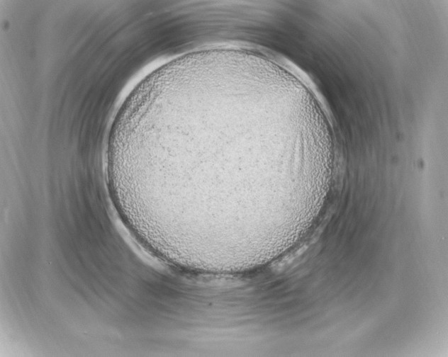 X0000085240811200704092022