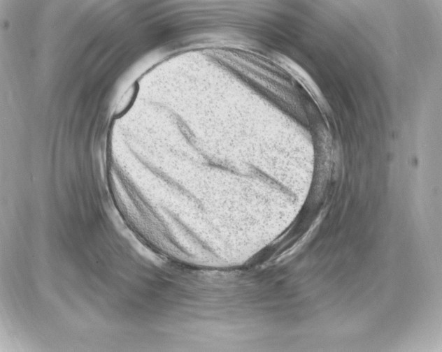 X0000085240812200704092022