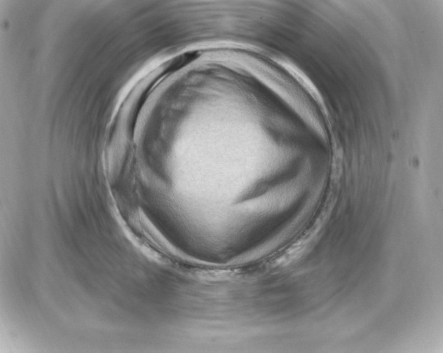 X0000085240813200704092021