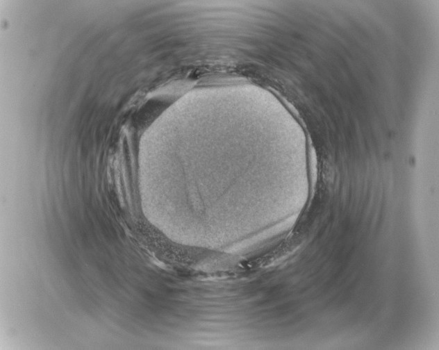 X0000085240818200704092021