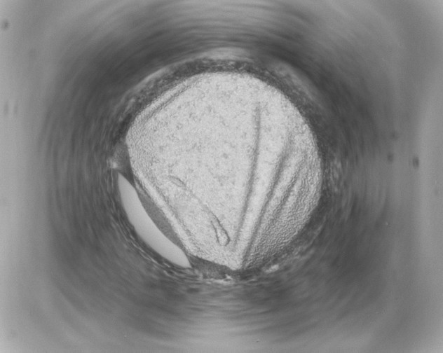 X0000085240821200704092021