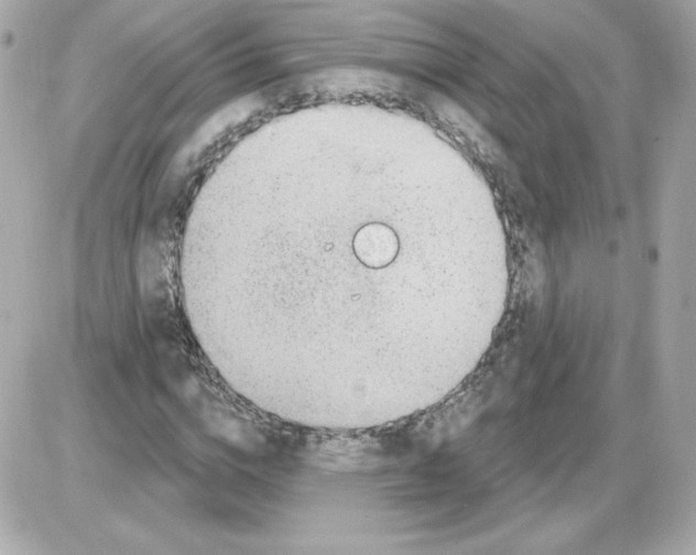 X0000085240824200704092021