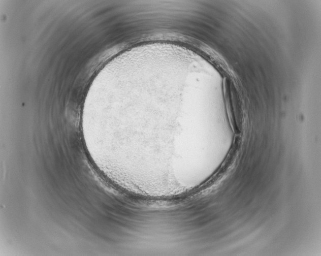 X0000085240841200704092021