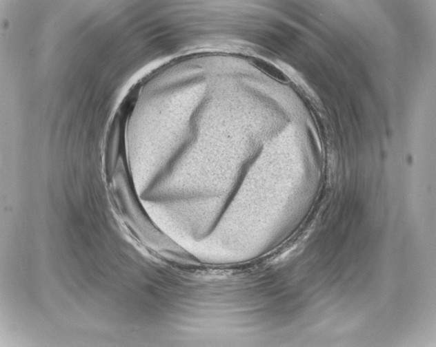 X0000085240846200704092021