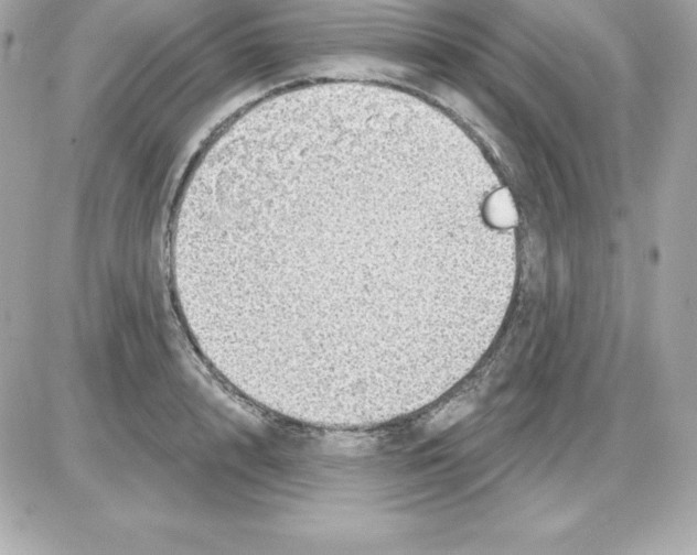 X0000085240848200704092021