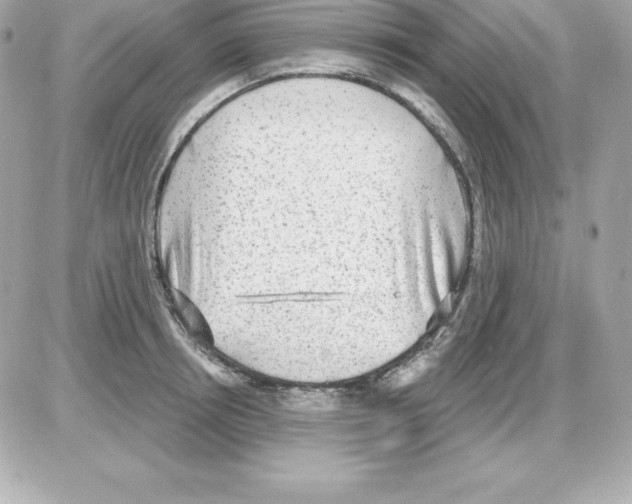 X0000085240850200704092021