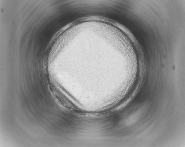 X0000085240857200704092021