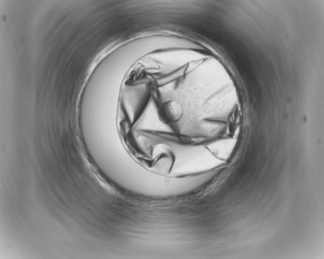 X0000085240858200704092021