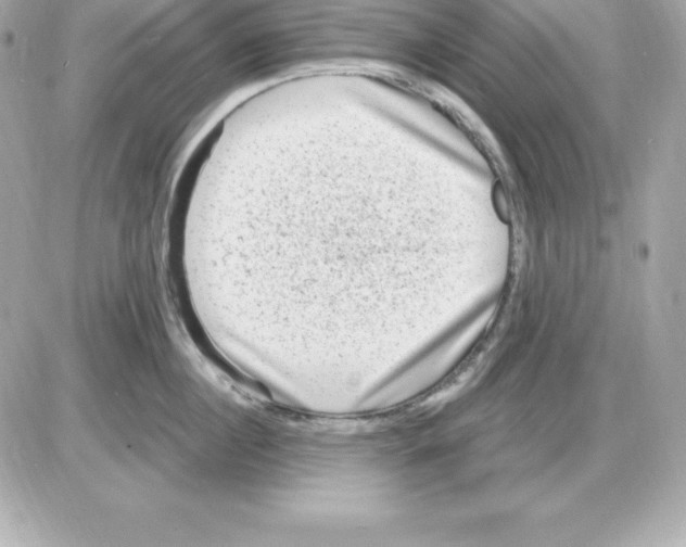 X0000085240860200704092021