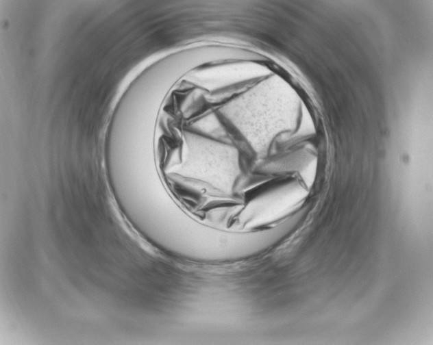 X0000085240862200704092021