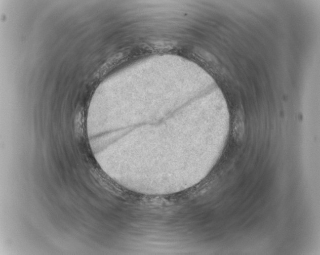 X0000085240866200704092021