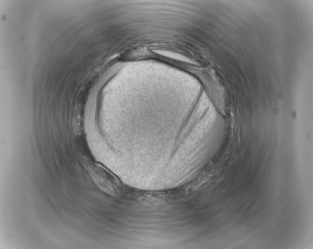 X0000085240868200704092021