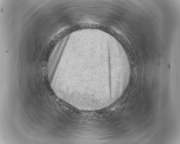 X0000085240870200704092021