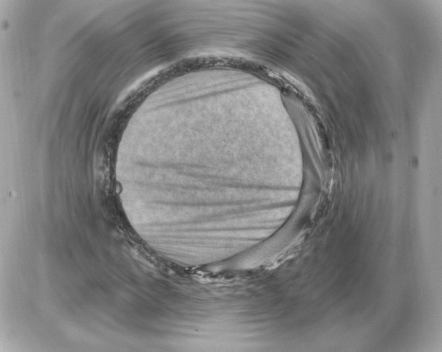 X0000085240872200704092020