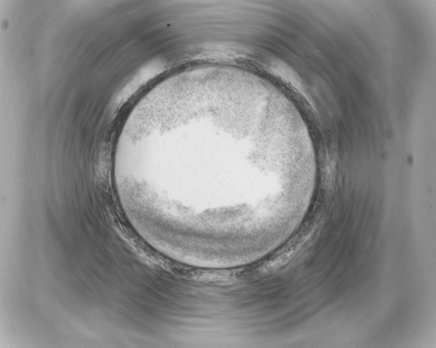 X0000085240874200704092020