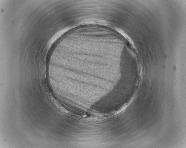X0000085240877200704092020