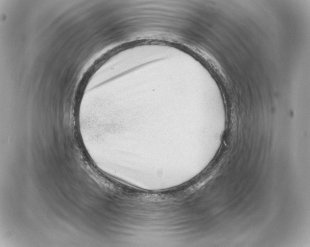 X0000085240880200704092020