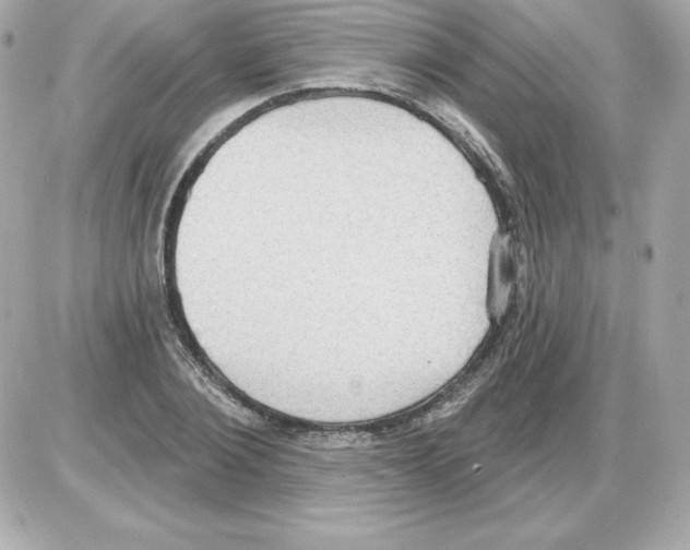 X0000085240884200704092020