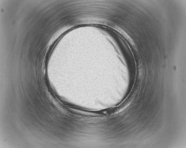 X0000085240885200704092020