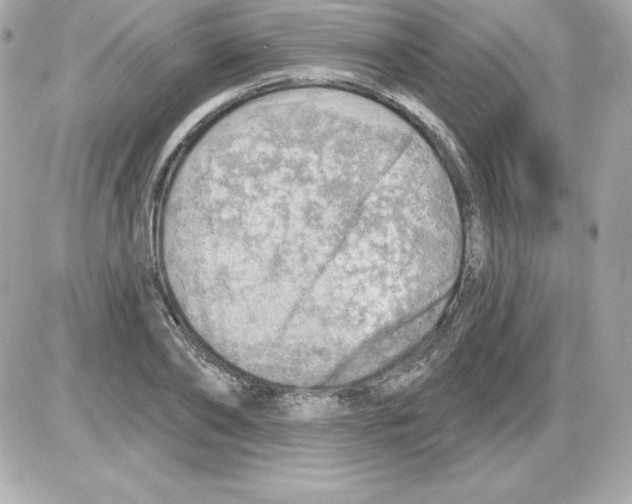 X0000085240886200704092020