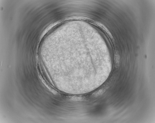 X0000085240890200704092020