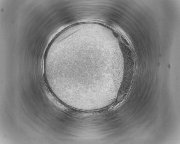 X0000085240892200704092020