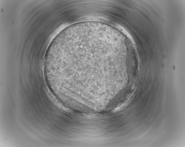 X0000085240899200704092020