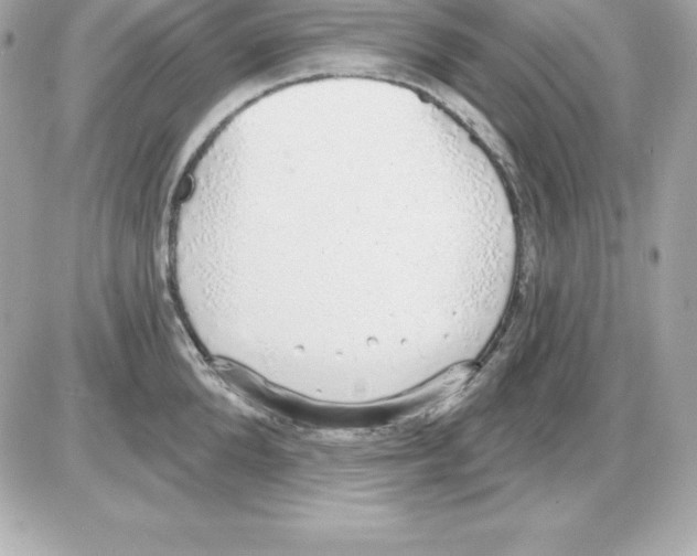 X0000085240904200704092020