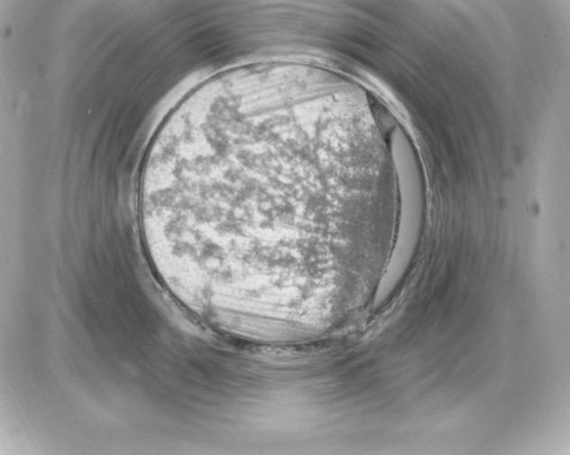 X0000085240907200704092020