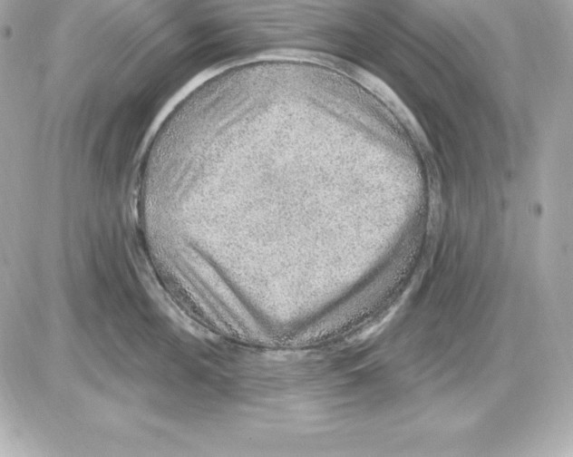 X0000085240908200704092020