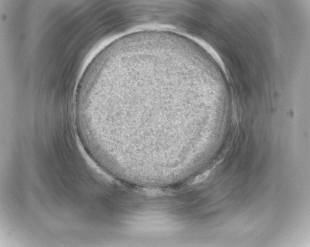 X0000085240911200704092020